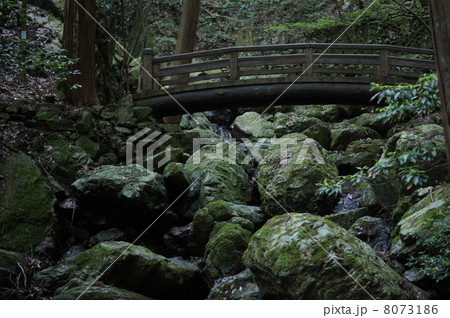 自然(橋) 自然(橋) 8073186