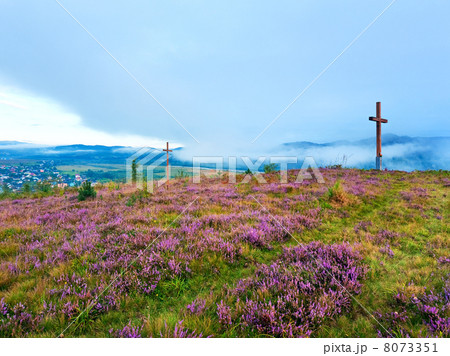 Summer heather flower hill and misty morning country view behind 8073351
