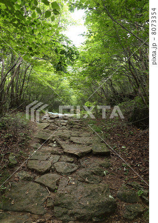 関東ふれあいの道（象の鼻への道） 8073354