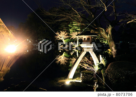 兼六園ライトアップ(徽軫灯籠) 兼六園ライトアップ(徽軫灯籠) 8073706