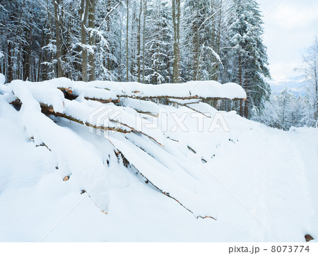 Snowbound winter earthroad 8073774