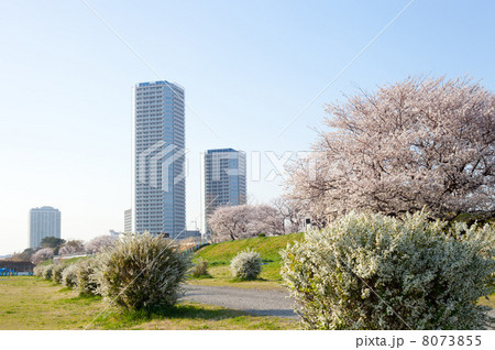 二子玉川 二子玉川 8073855