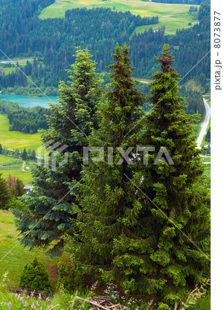 Summer mountain country view. 8073877