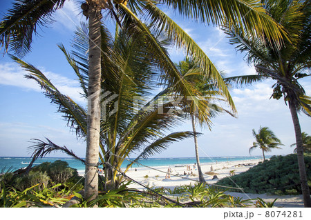 paradise beach paradise beach 8074281