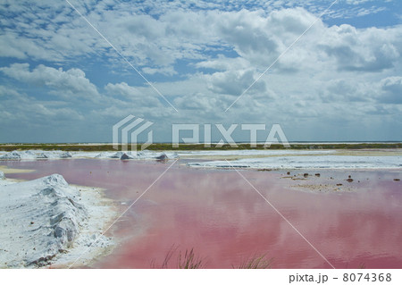 pink salt flats pink salt flats 8074368