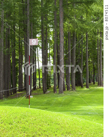 パークゴルフ場9番ホール(縦) パークゴルフ場9番ホール(縦) 8074511