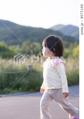 夕方の散歩 8075166