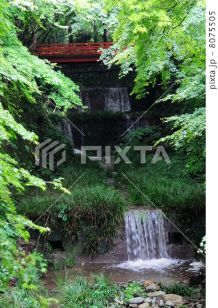 雨の三千院 8075505