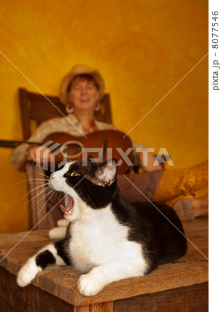 Pretty Western Woman with Guitar and cat 8077546