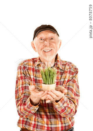 Handsome senior man with grass in small pot 8078759