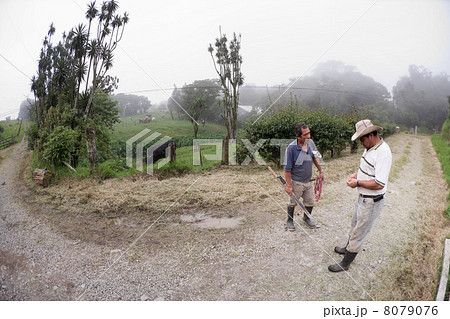 Handsome male ranch hands in Costa Rica 8079076