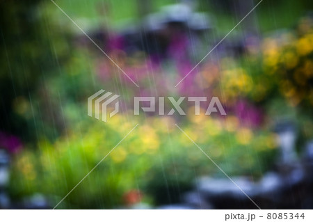Closeup of rain 8085344