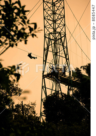 Tourists on zip line in Costa Rica 8085447