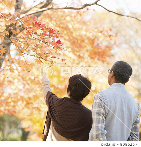 紅葉を眺めるシニア夫婦の後姿