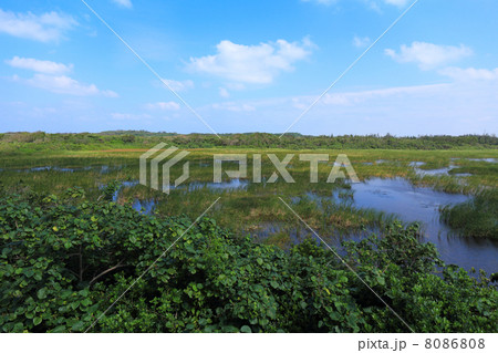 池間湿原 池間湿原 8086808