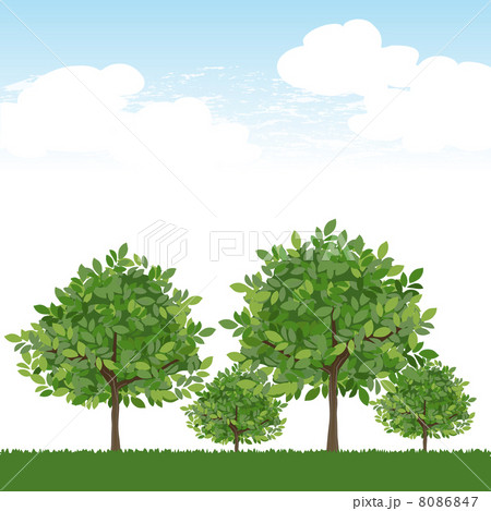 木 風景 空 8086847