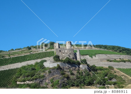 ライン川沿い　エーレンフェルス城 8086911