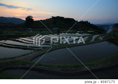 千早赤坂村の棚田 千早赤坂村の棚田 8087175