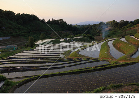 千早赤坂村の棚田 8087178