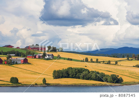 Fields Fields 8087545