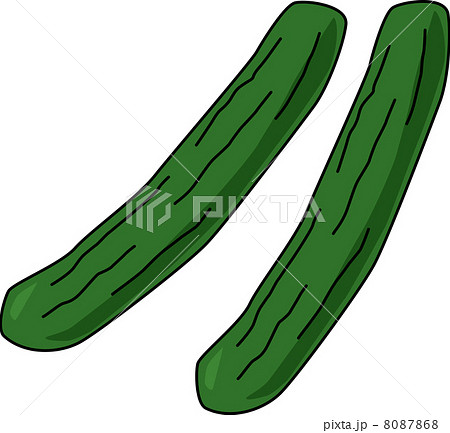 キュウリ 8087868