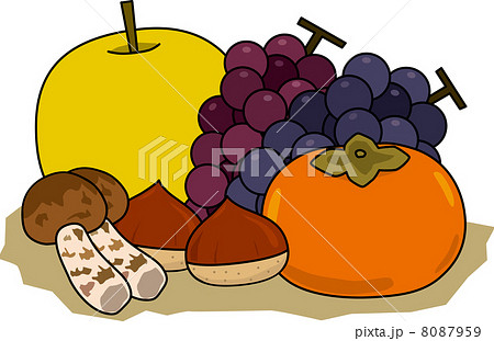 秋の味覚 8087959