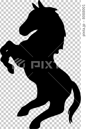 A standing horse 8088001
