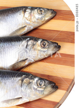 fish close up fish close up 8088485