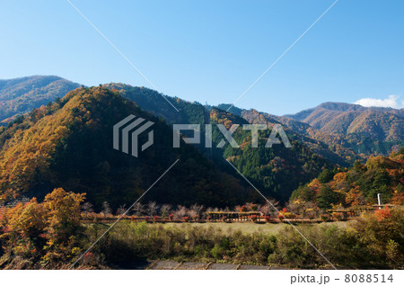 秋の山 8088514