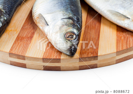 close up of fish head 8088672