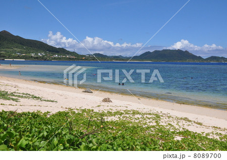 米原ビーチ 8089700