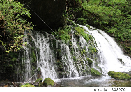 元滝　夏 8089704