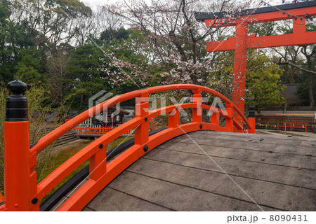 下鴨神社 輪橋 下鴨神社 輪橋 8090431