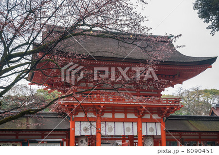 下鴨神社 楼門 下鴨神社 楼門 8090451
