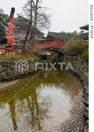 下鴨神社　輪橋 8090566