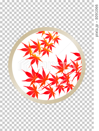 Marugame autumn leaves illustration Marugame autumn leaves illustration 8091066