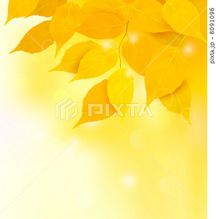 Autumn background with yellow leaves. Back to school. Vector ill 8091096