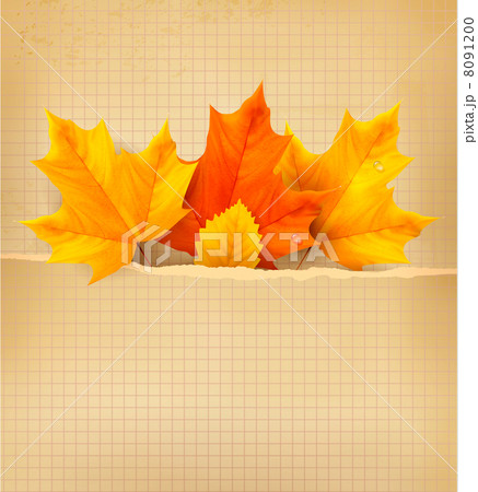 Autumn background with leaves. Back to school. Vector illustrati 8091200