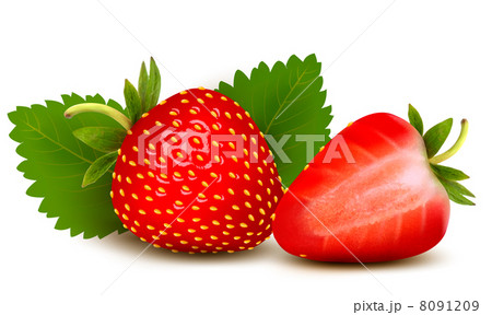 Two strawberries with leaves . Vector. 8091209