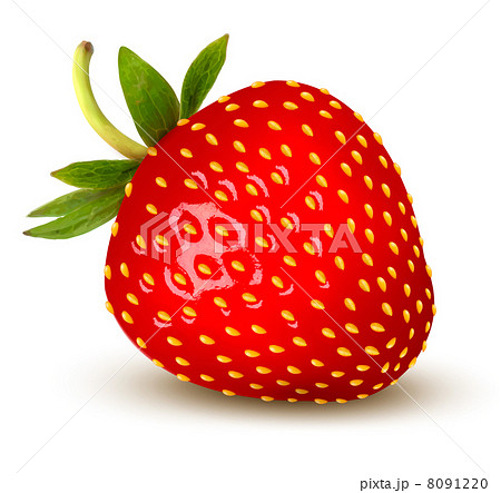 Strawberry. Vector. Strawberry. Vector. 8091220