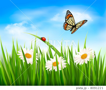 Nature background with green grass, flowers and a butterfly. Vec 8091221