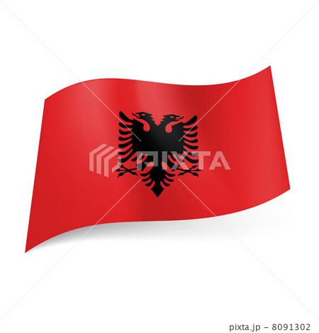 State flag of Albania.  8091302