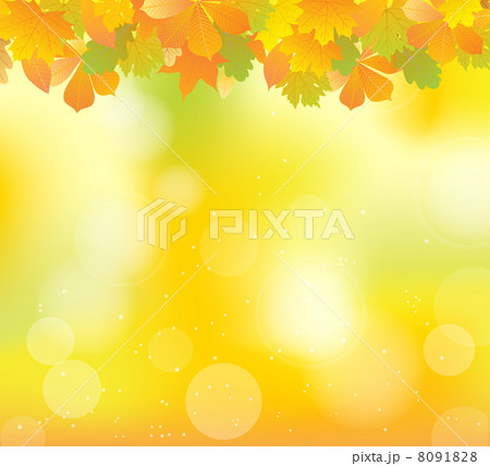 autumn leaves autumn leaves 8091828