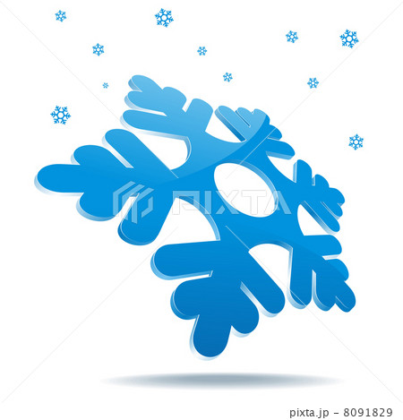 snowflake icon snowflake icon 8091829