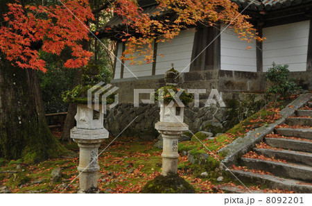京都 秋の西明寺 京都 秋の西明寺 8092201