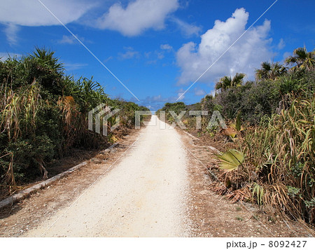 沖縄:久高島・カベール岬への道 沖縄:久高島・カベール岬への道 8092427