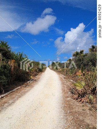 沖縄：久高島・カベール岬への道 8092429