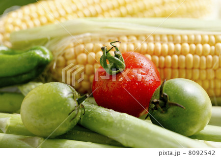 トマトと夏野菜 トマトと夏野菜 8092542