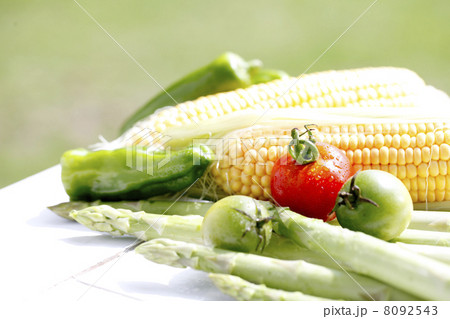 トマトと夏野菜 トマトと夏野菜 8092543