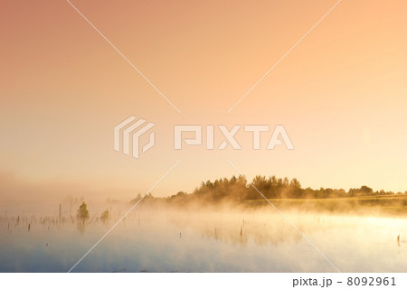 Morning sunrise 8092961